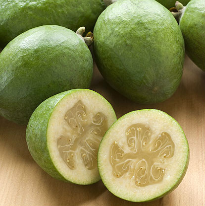 Feijoa